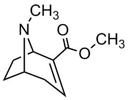 Picture of Anhydroecgonine methylester.HBr