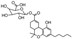 Picture of d,l-11-Nor-delta9-THC carboxylic acid glucuronide (mix of isomers)