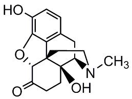 Picture of Oxymorphone