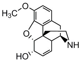 Picture of Norcodeine