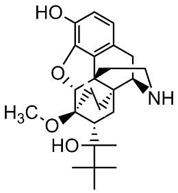 Picture of Norbuprenorphine