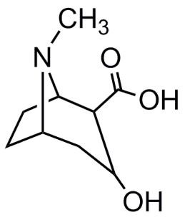 Picture of Ecgonine.HCl